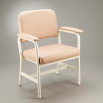 Low Back Chair - Hunter - 600 mm Champagne