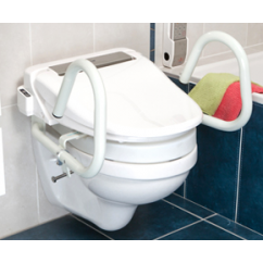 Toilet Seat Rail Throne 3 Modes (Std, Splayed or Fold down) - Powder Coated